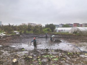 平乡河道鱼塘清淤